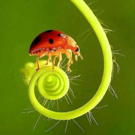 顺其自然随遇而安