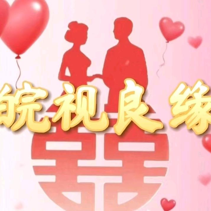 皖视良缘《艳丽姐》