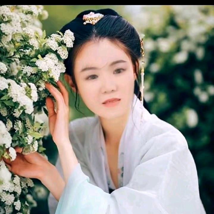英姐唱歌🎤《晚上20:—10点半》