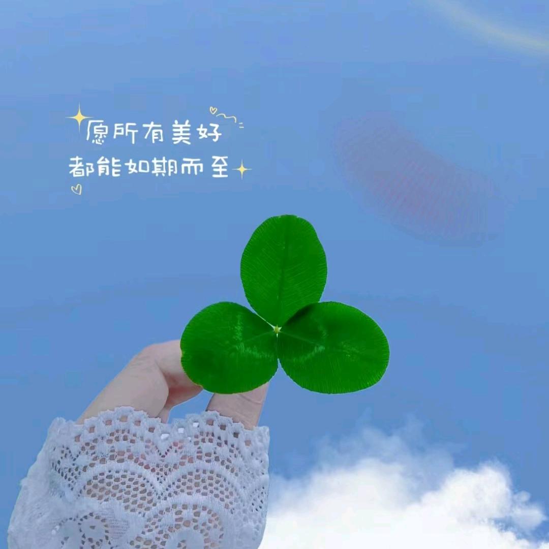 兰大大