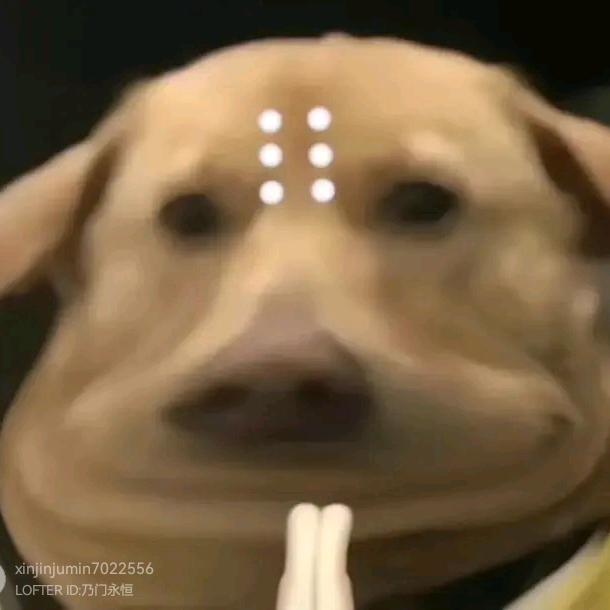 我不知道啊🤔头像