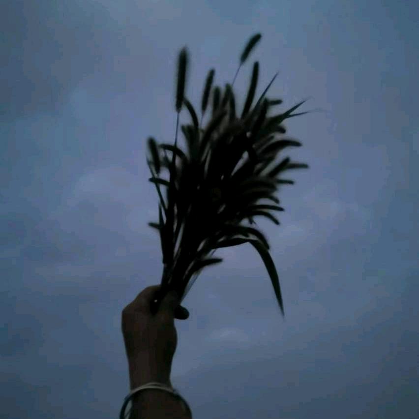 一生有缘🙏🙏🙏🙏🙏