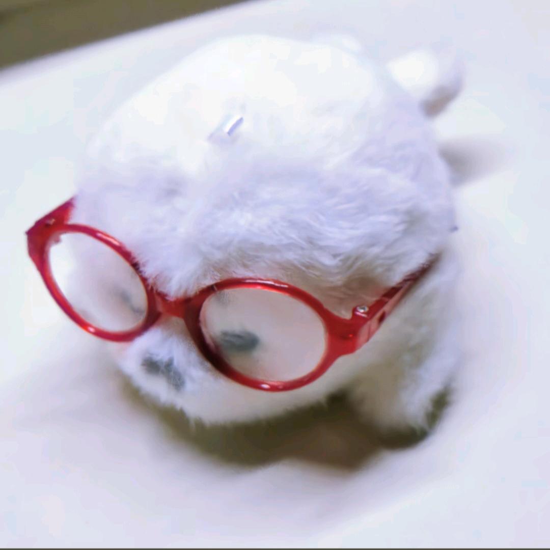 小熊饼干失窃案件（不签to版