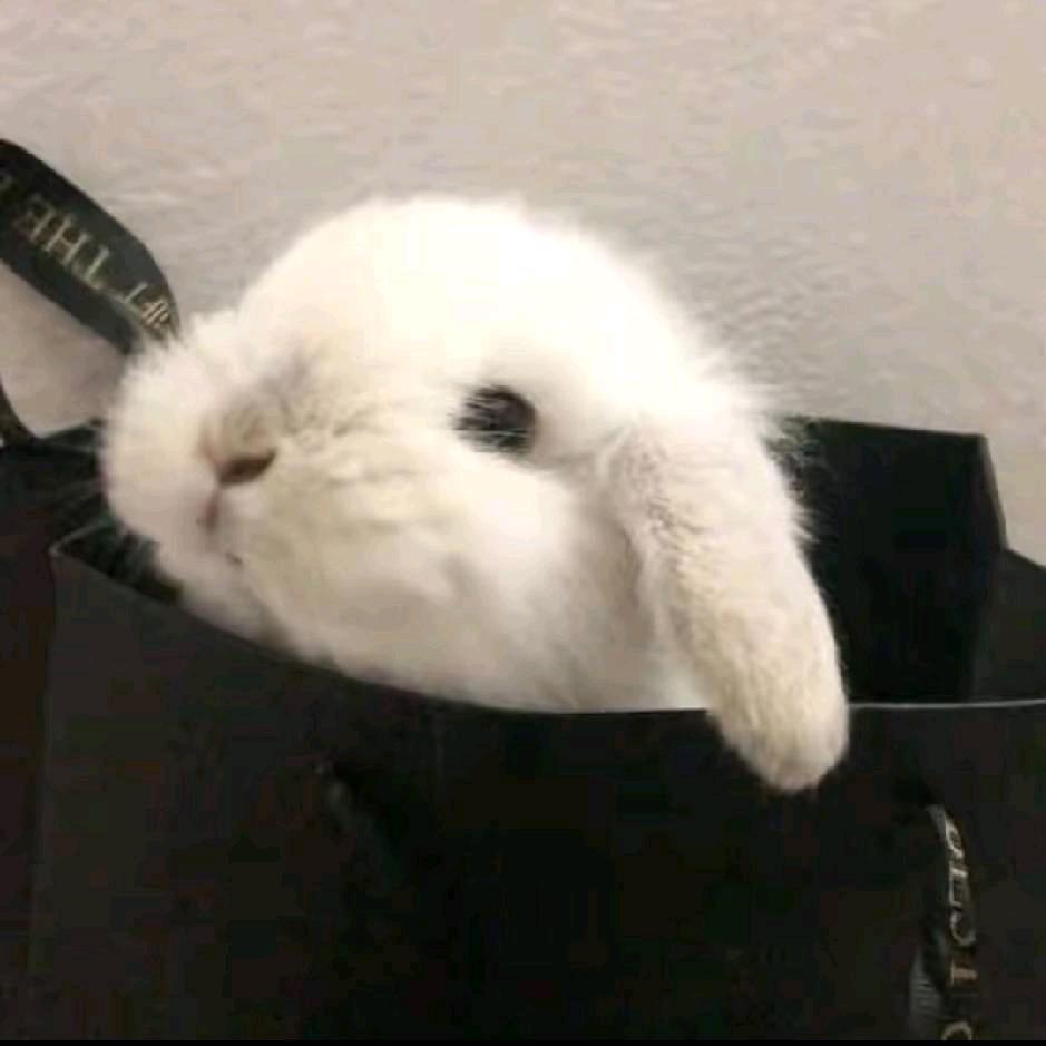 好久不见。