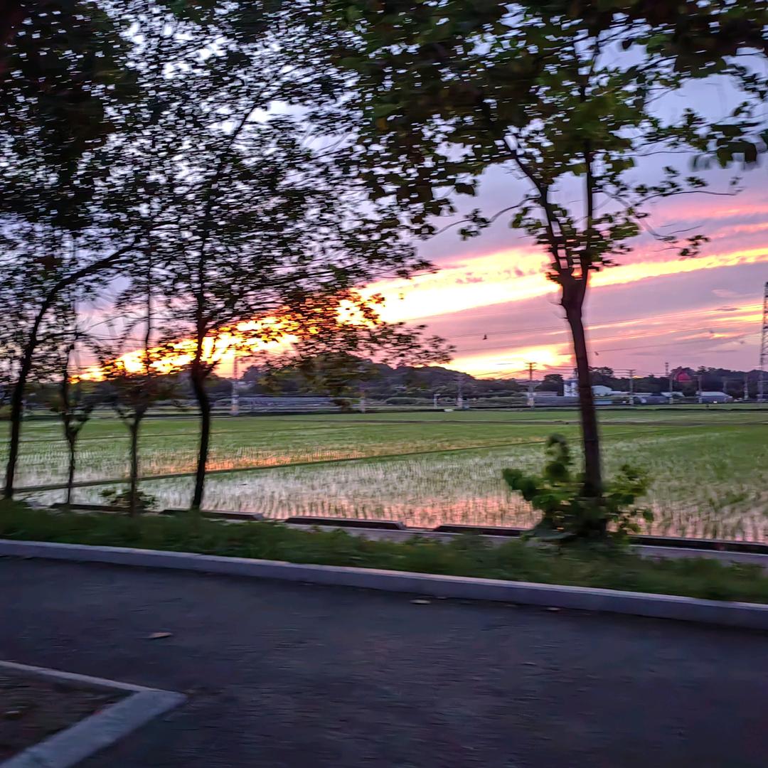 江上晚风吟