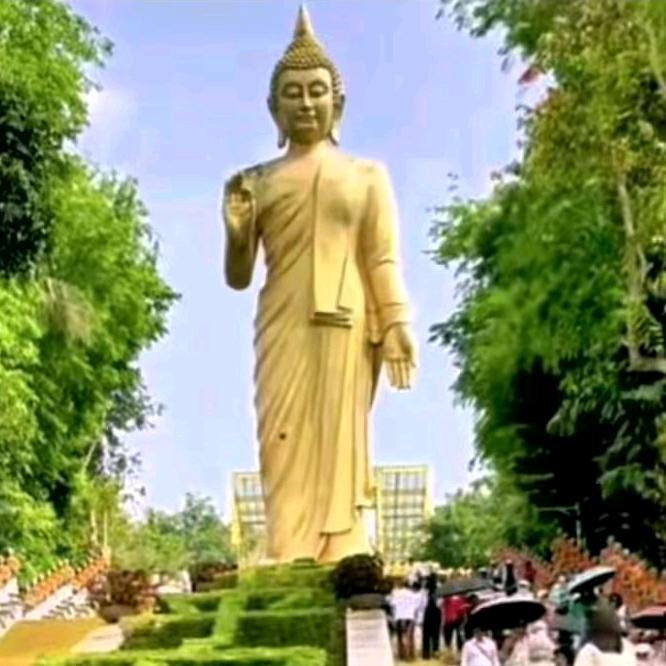 路𒐫虎𒐫揽𒐫胜𒐫💰