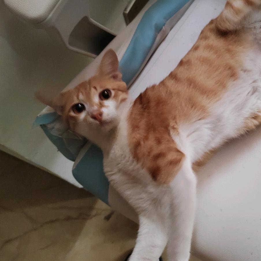 日哟我不是炼金栽种