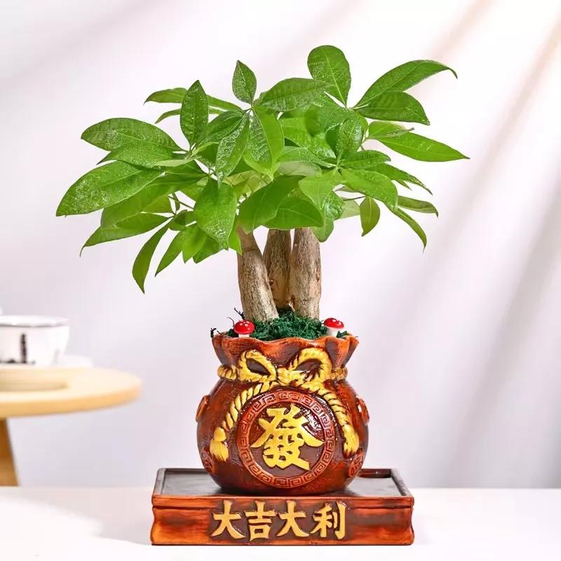 筱昱的生活小日常