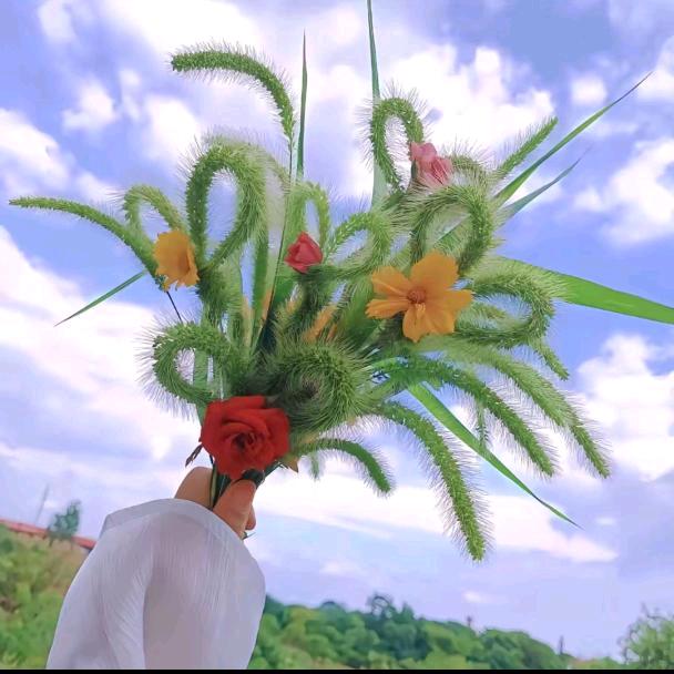 八月❤