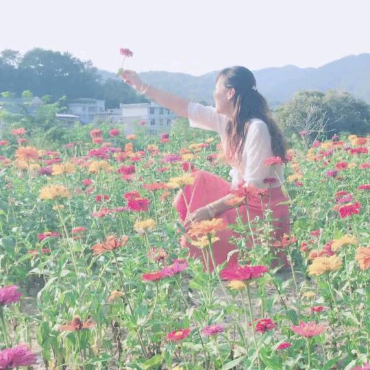 安静的世界拒绝私聊谢谢🙏