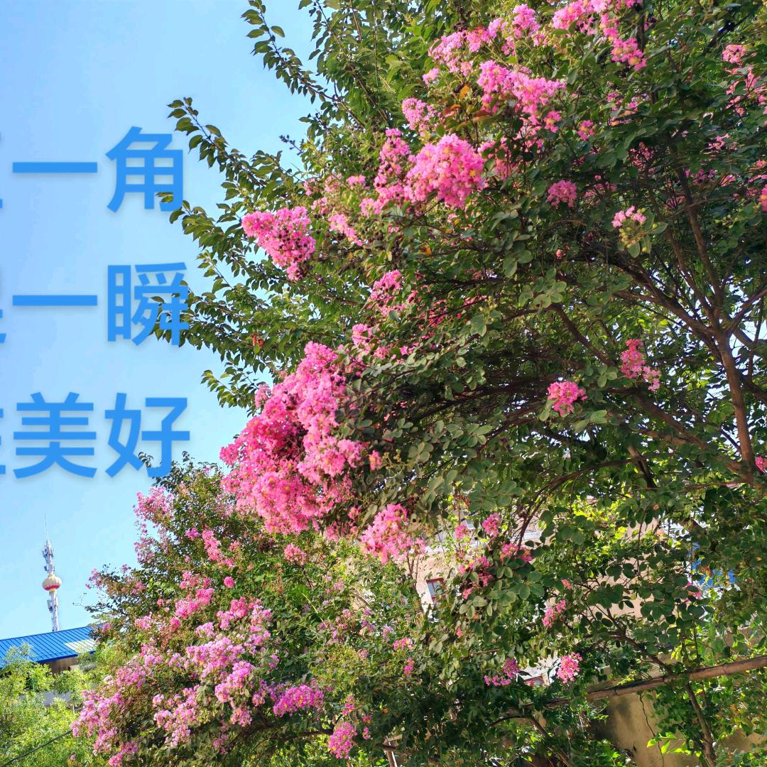 钞票好多张