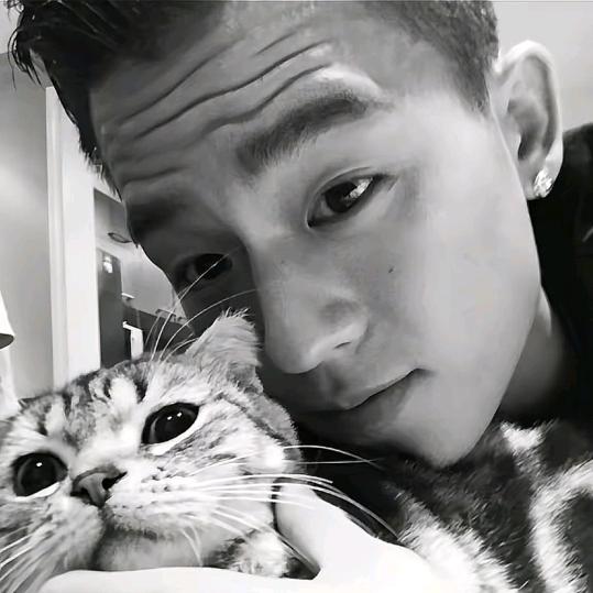 达吉🗿