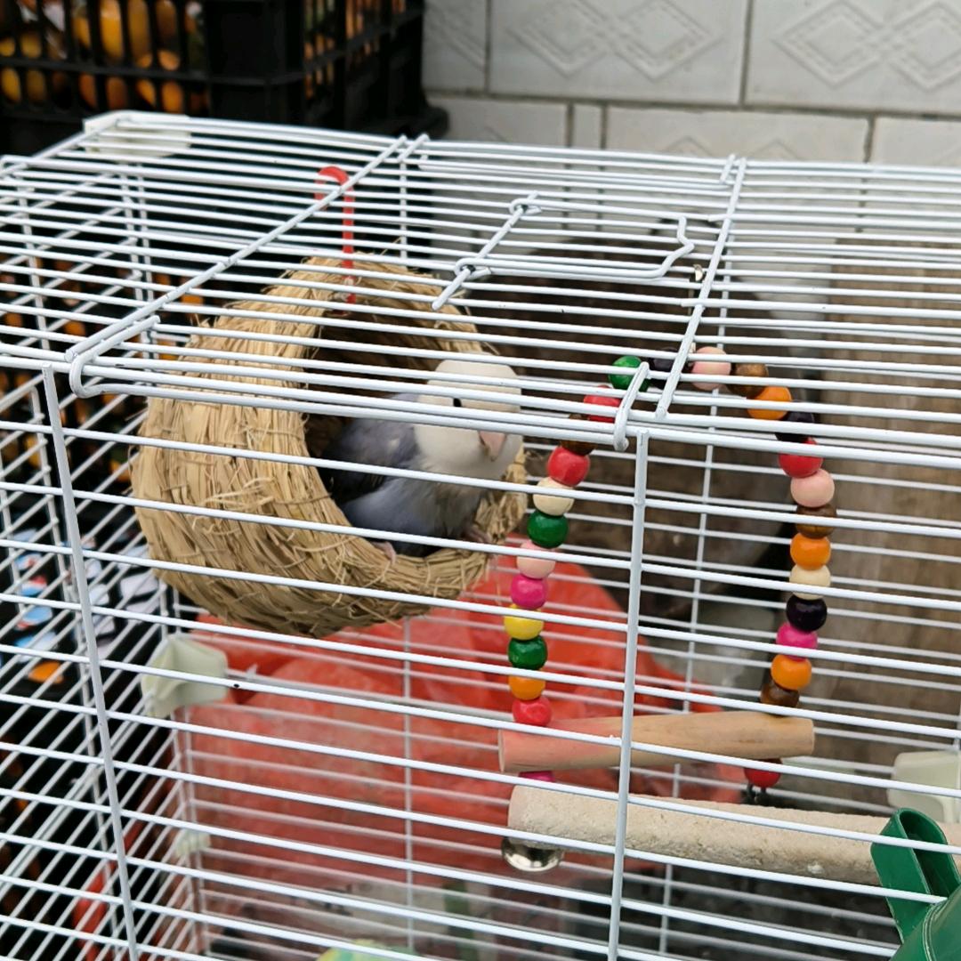 往后余生✪ω✪陪你走