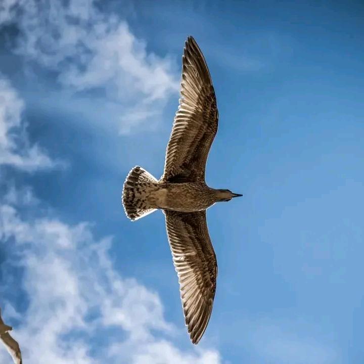 車厢路混沌堂首席议事官