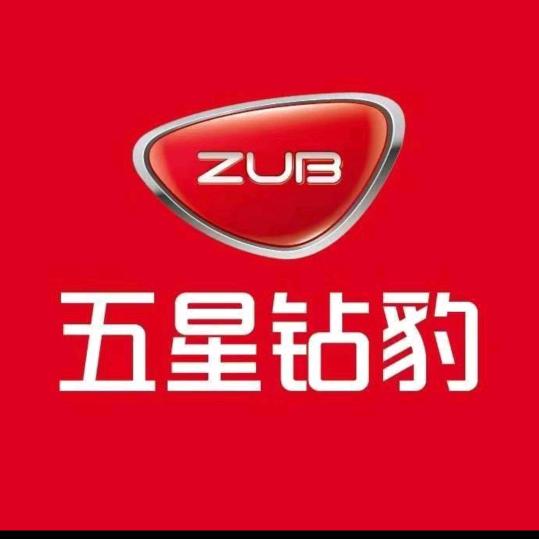 五星钻豹长丰路店