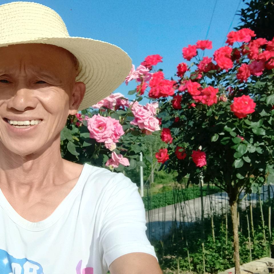 环渝月季花卉基地