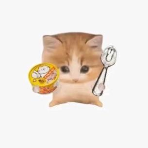 我嘞个柒啊