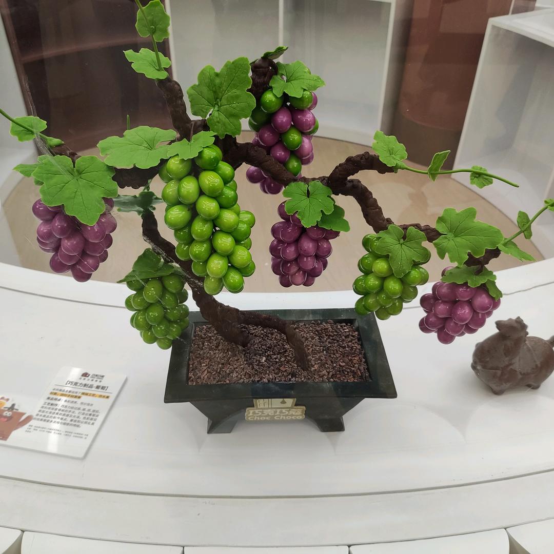 @☀️阳光很暖，🔋电量很满