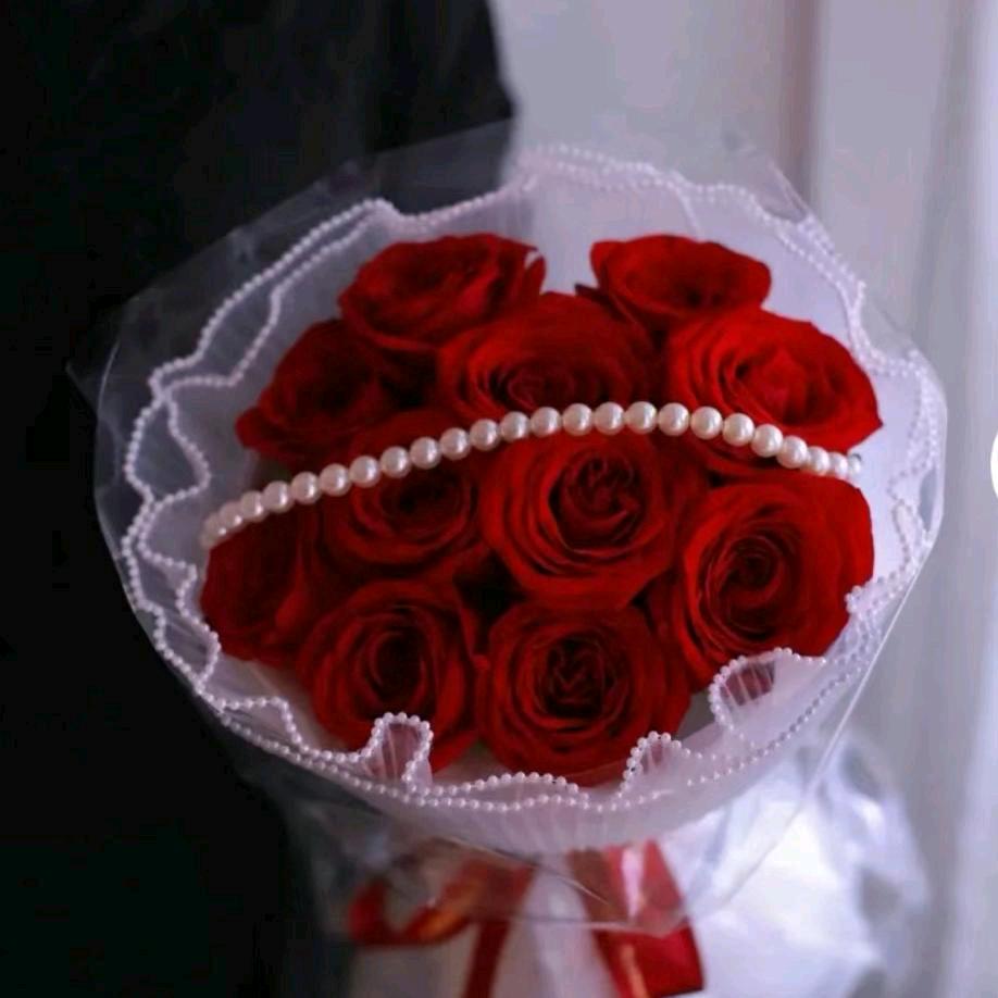 🌹珍惜拥有🌹