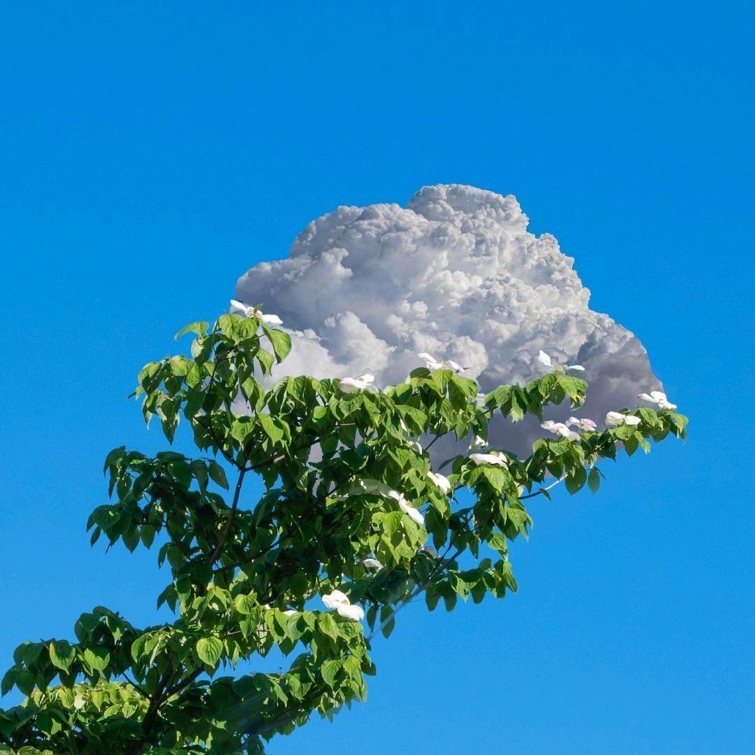 扶摇直上九万里