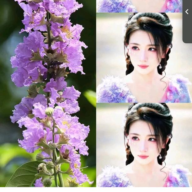 心悦君兮