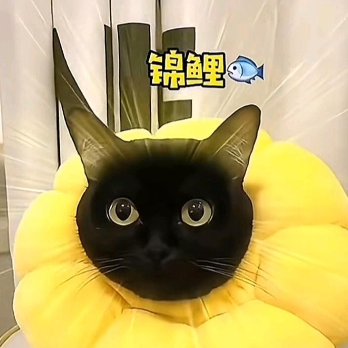 （   显眼包   ）动嘴