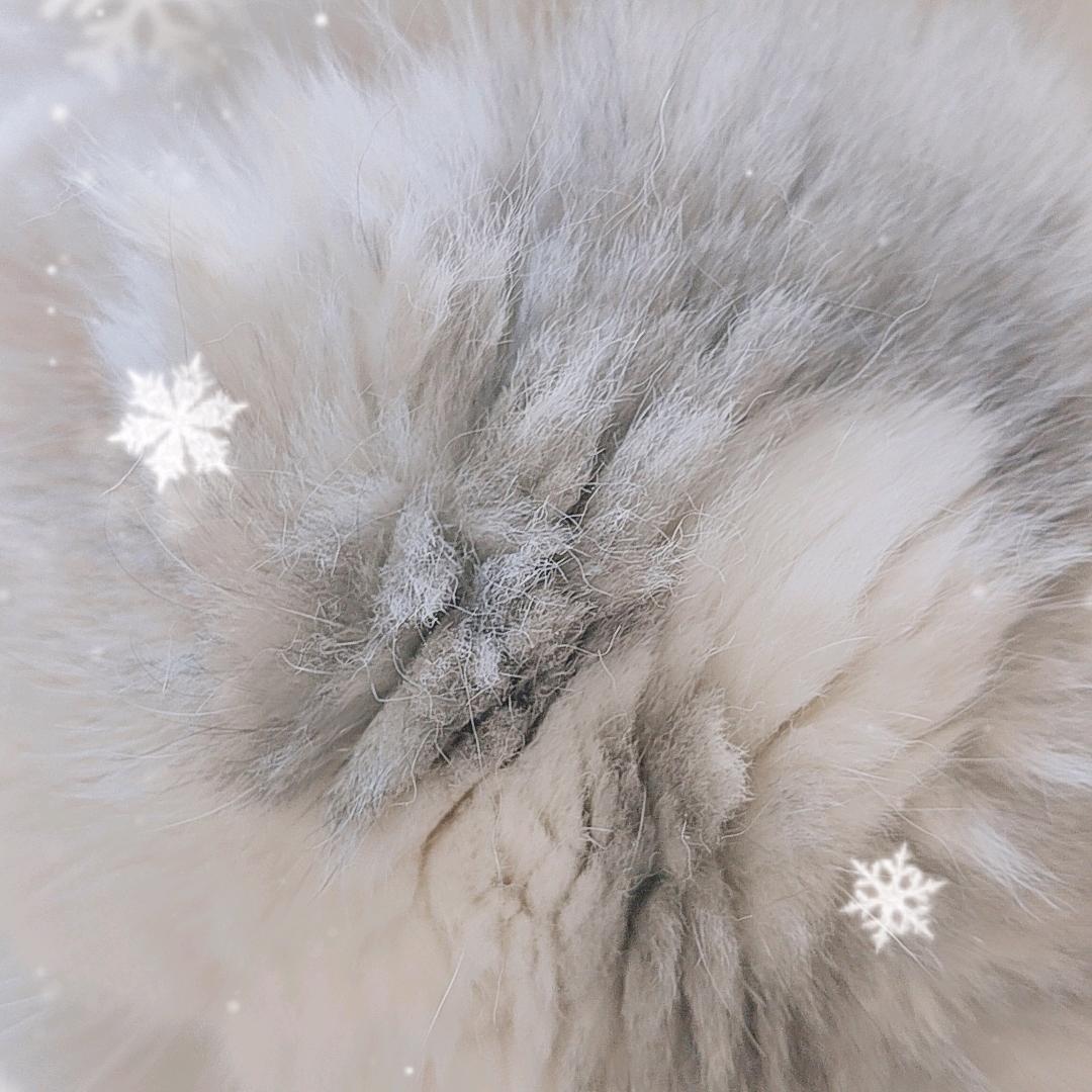 上海邦木实业有限公司1官方号