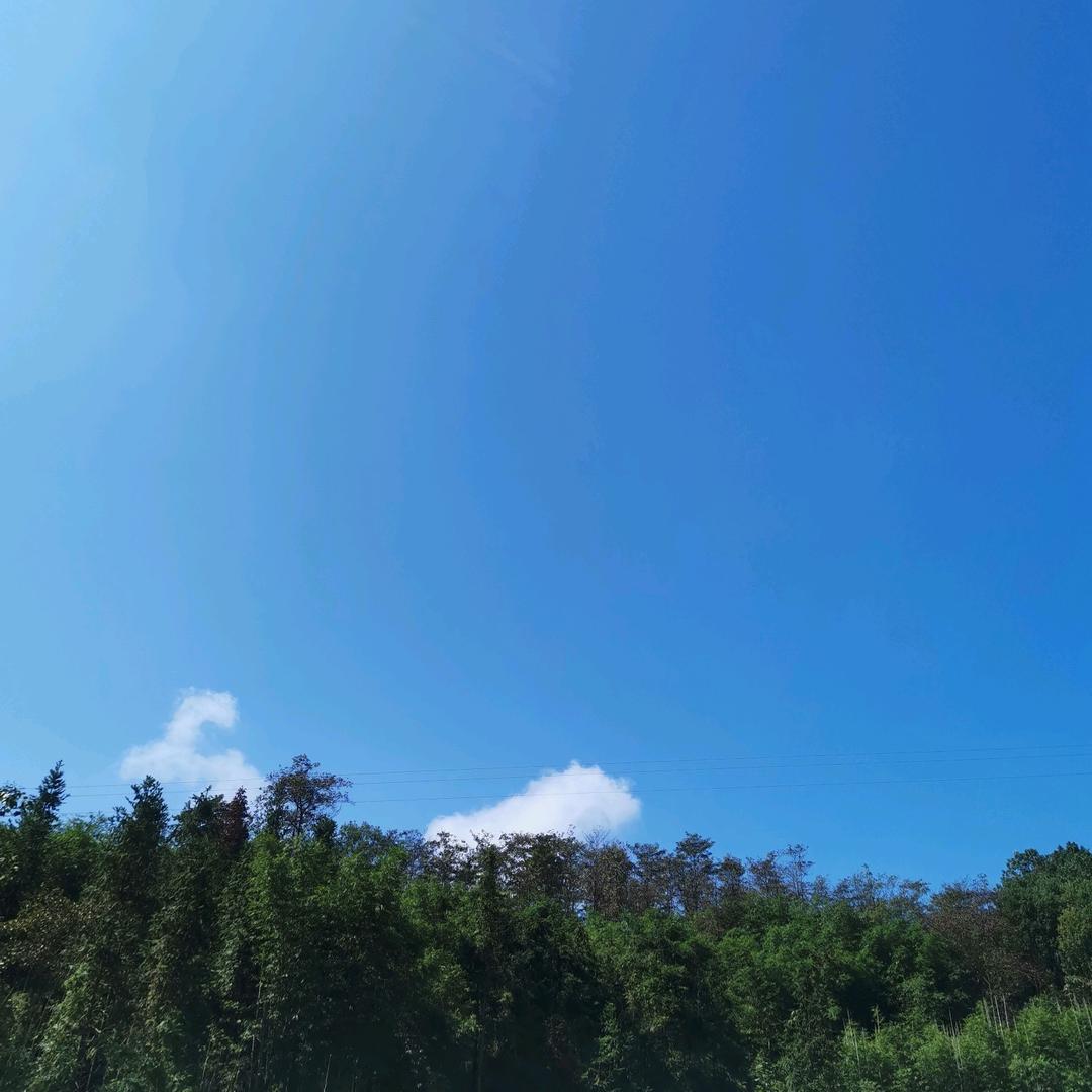 海洋之歌