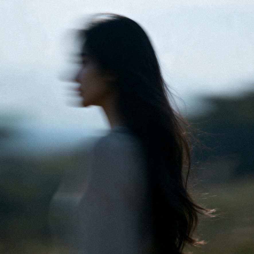 铁腕铁拳铁石心肠