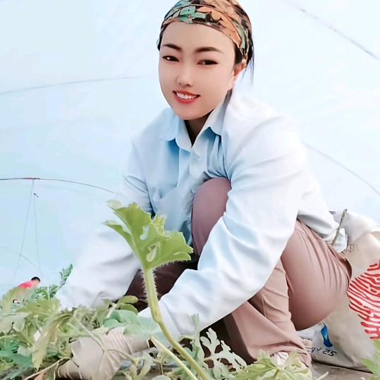 瓜地小姐姐