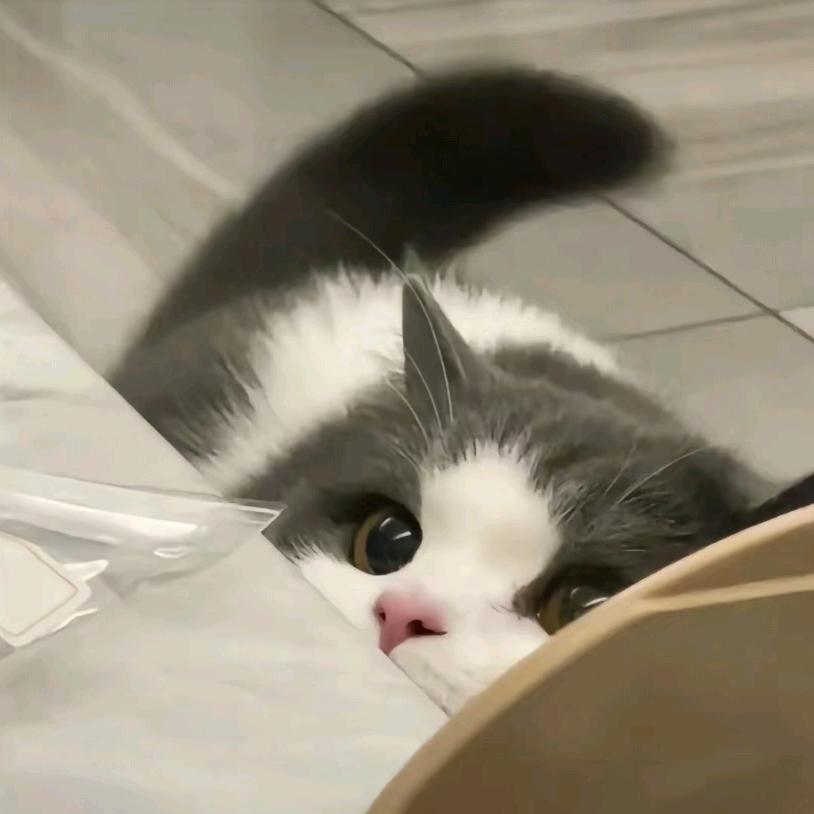 極