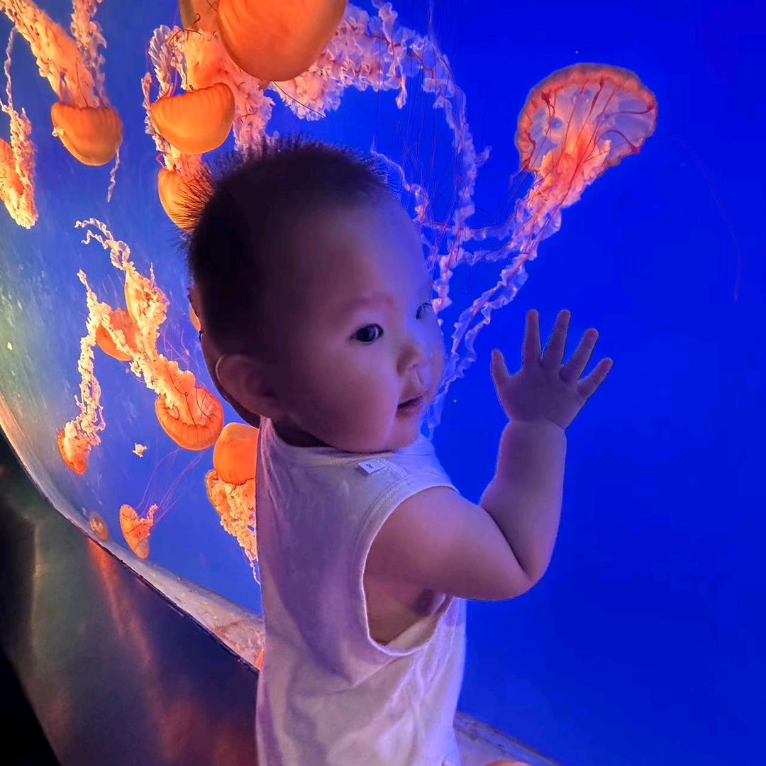 忘不了2022.9.26.