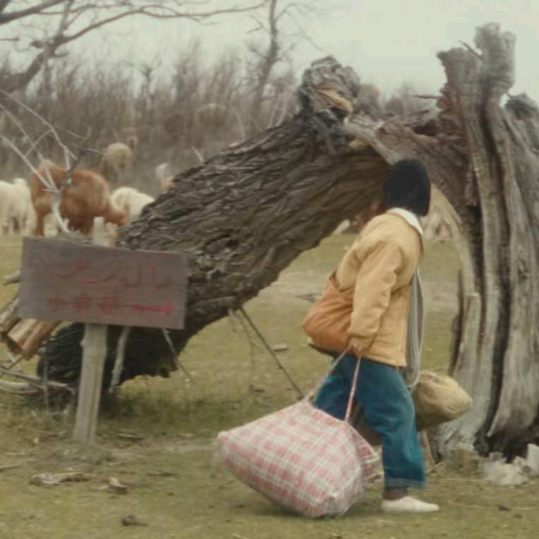 爱探险的玛卡巴卡