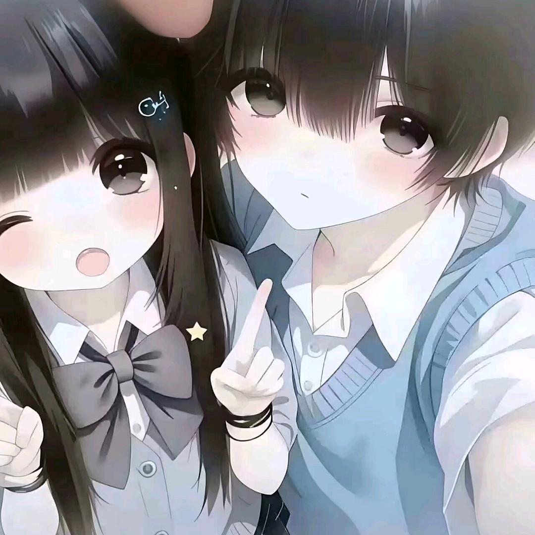 布布