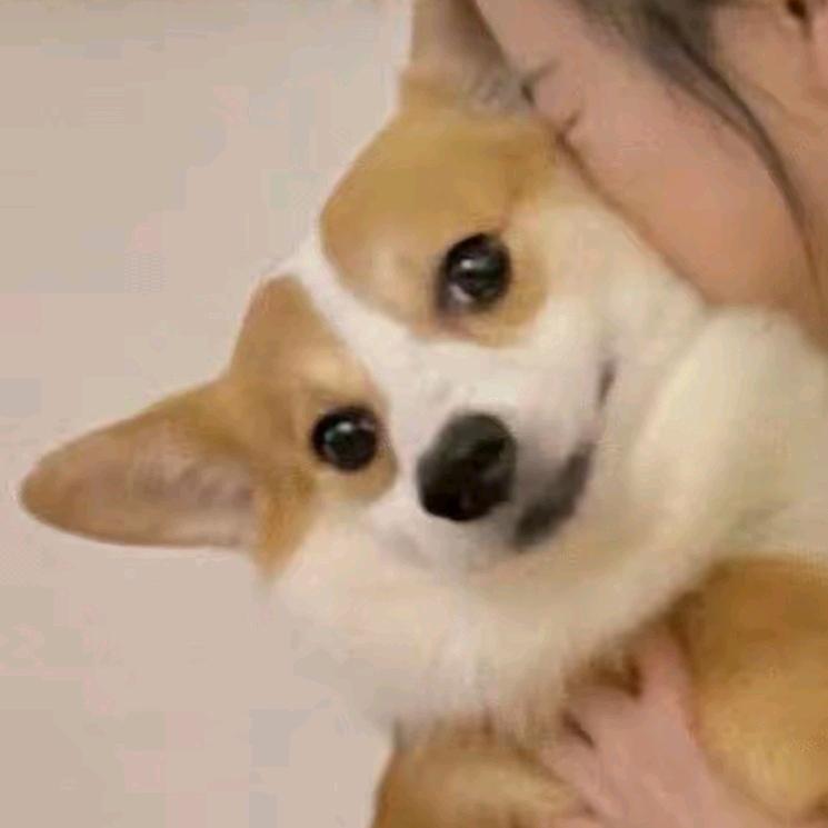 起什么名字好嘞？