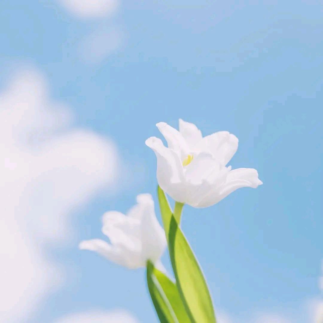 自选号码流量星球归属地卡卡小帮手