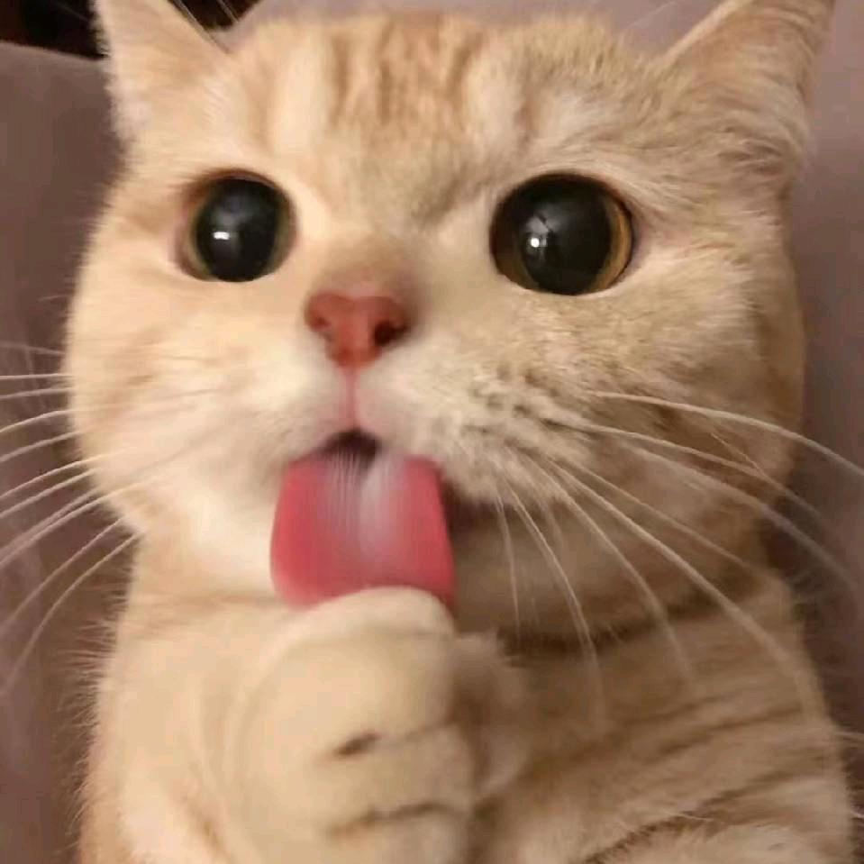 ☞紫川秀☜（🐟人版）