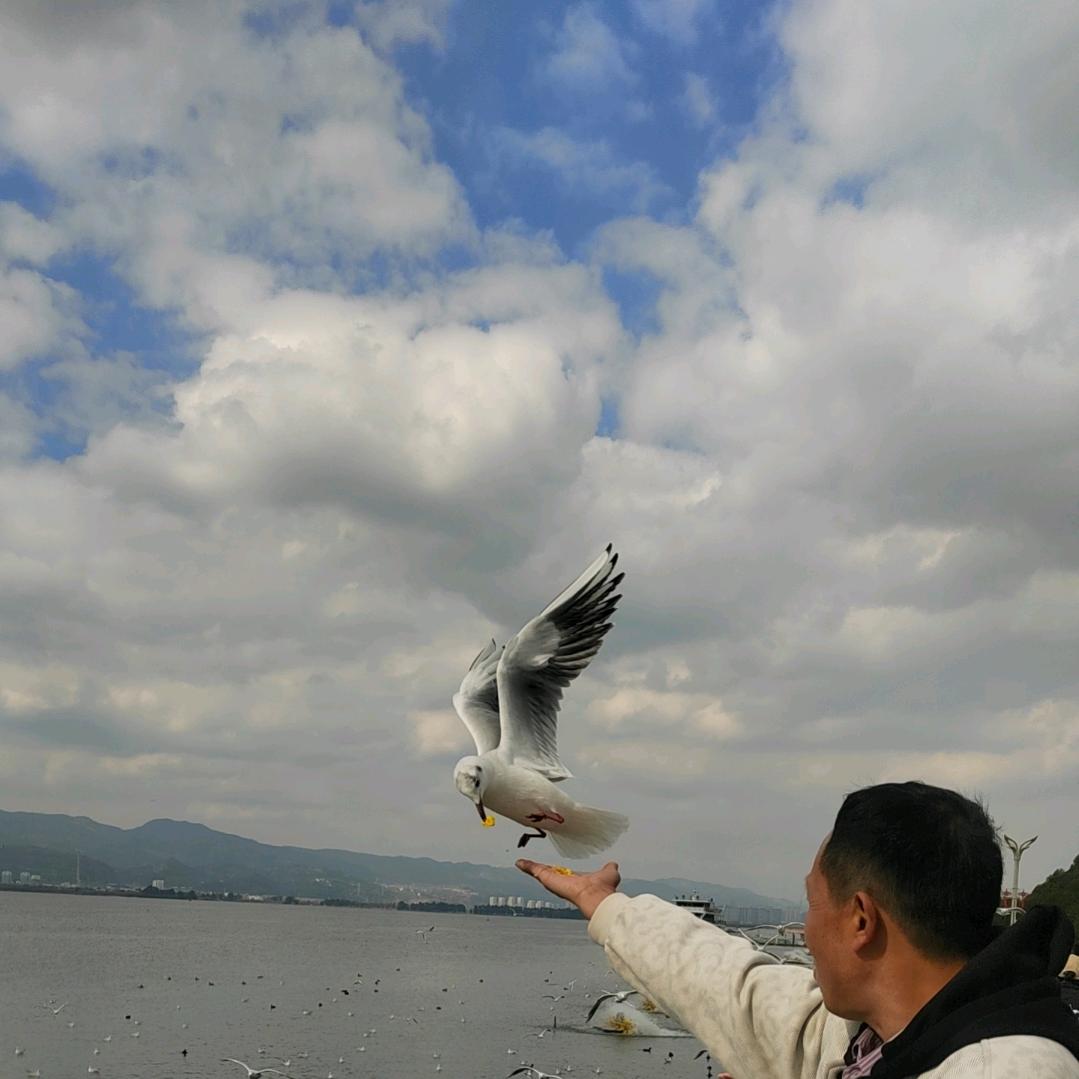 二哥