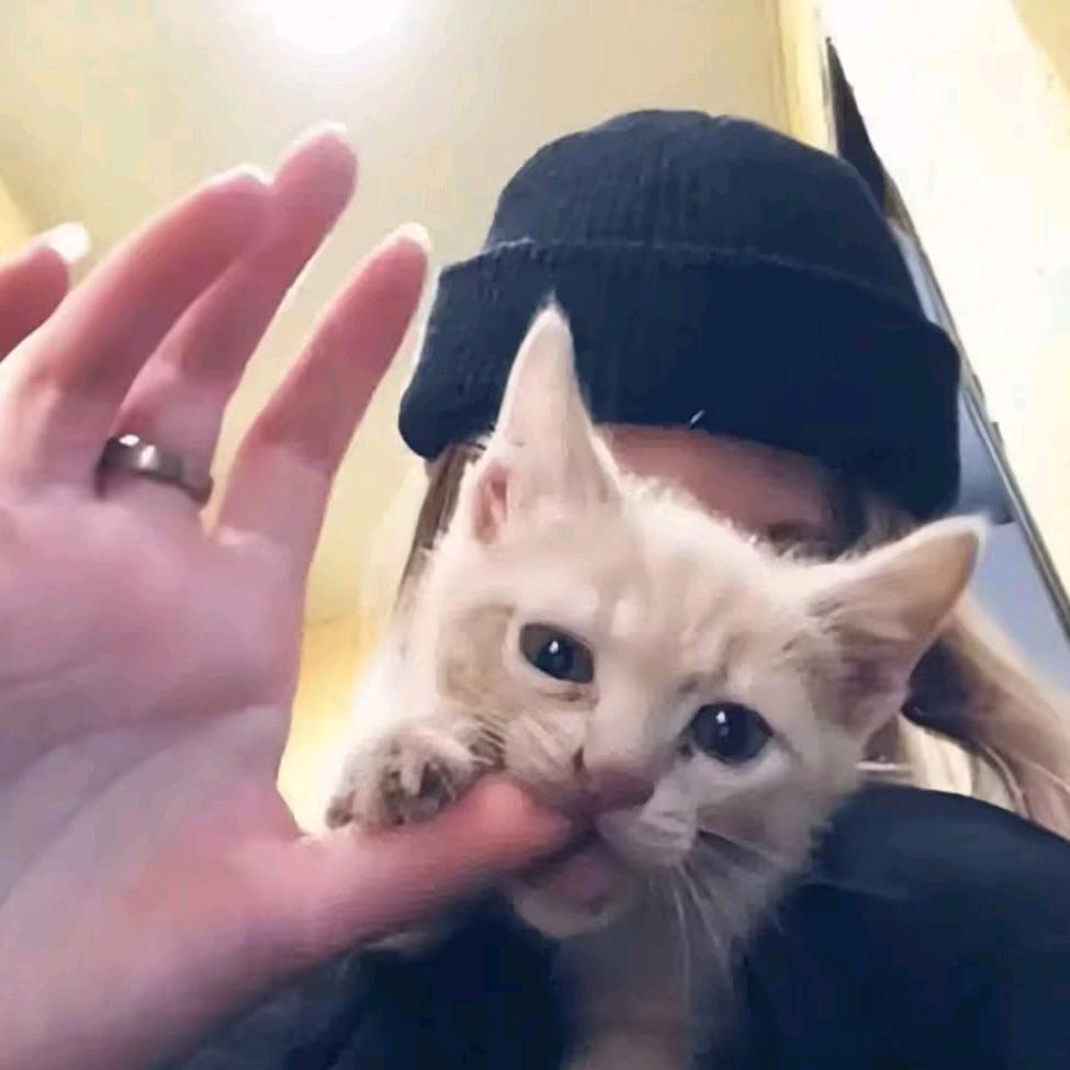 冬韵👽