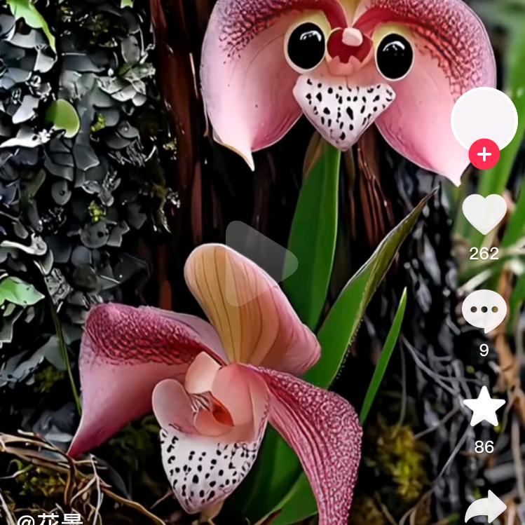 。。