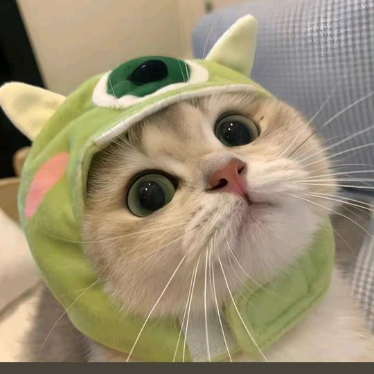万物科普