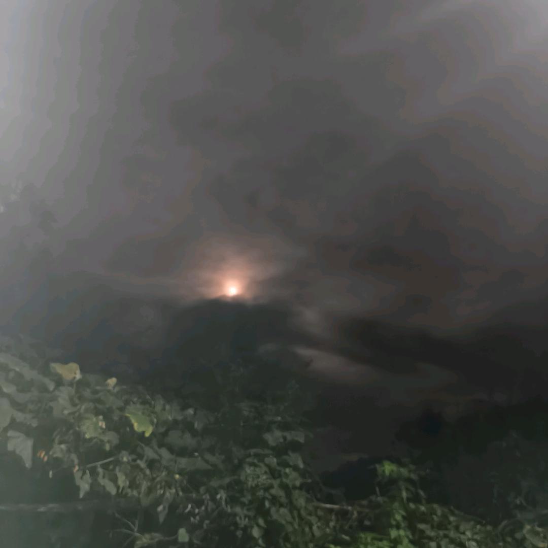 阿呆😳