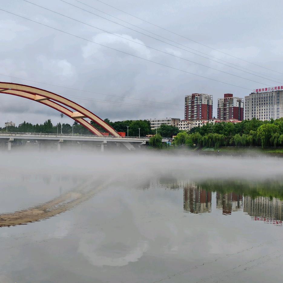 马老大