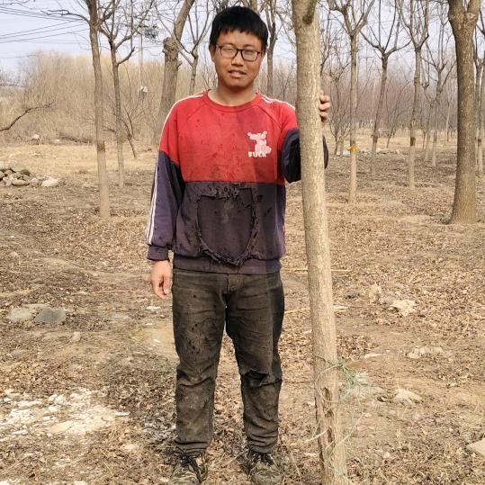 不锈钢终结者（专收不锈钢）
