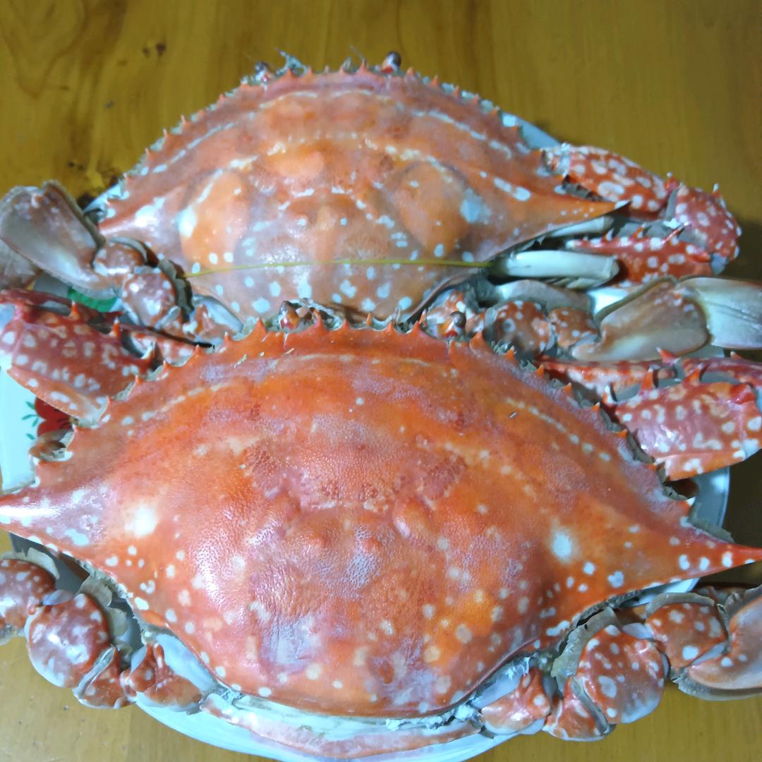 银河挽月色