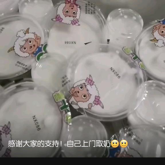 中阳鲜羊奶