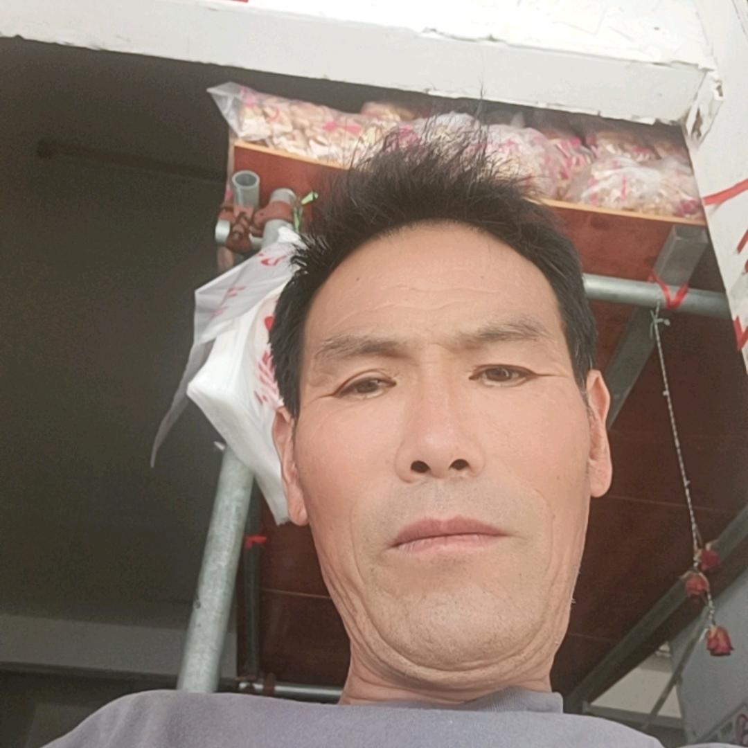 毛合金