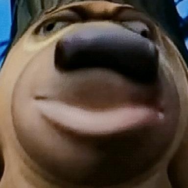 凡哥