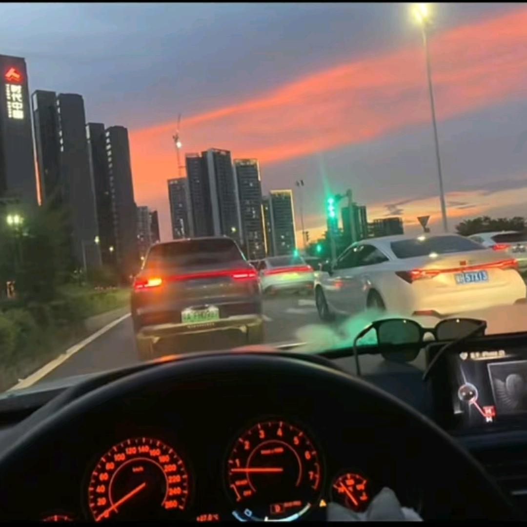 向日葵上的公主