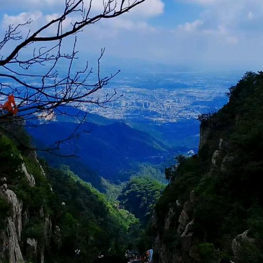 伍陆捌玖